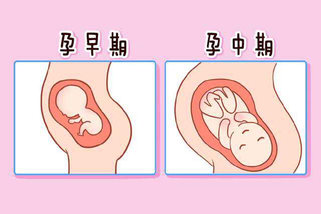 2024年上海可以做供卵试管助孕机构怎么联系？