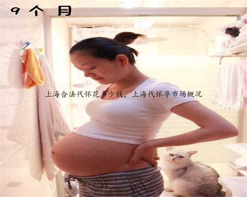 上海合法代怀花多少钱，上海代怀孕市场概况