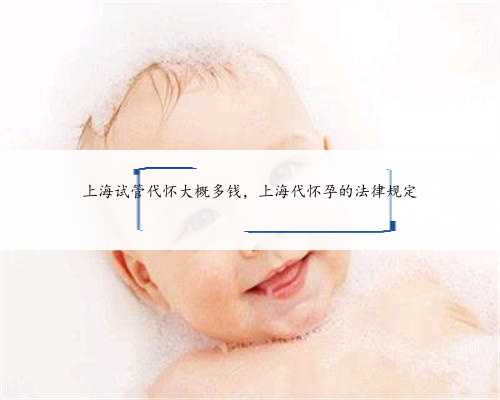 上海试管代怀大概多钱，上海代怀孕的法律规定
