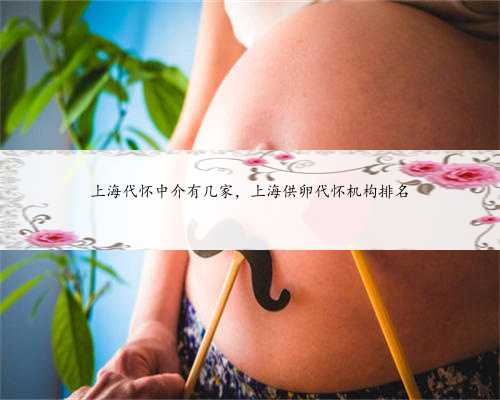 上海代怀中介有几家，上海供卵代怀机构排名