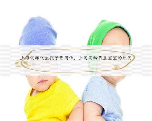上海供卵代生孩子费用低，上海高龄代生宝宝的原因