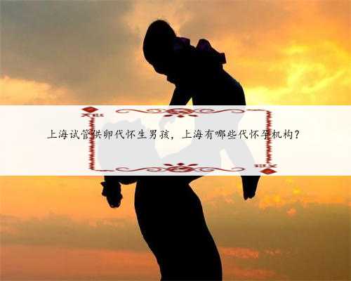上海试管供卵代怀生男孩，上海有哪些代怀孕机构？