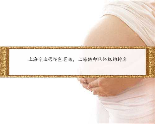 上海专业代怀包男孩，上海供卵代怀机构排名