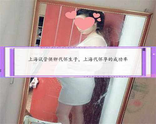 上海试管供卵代怀生子，上海代怀孕的成功率