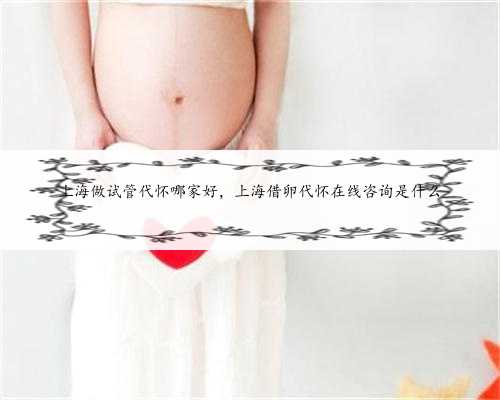 上海做试管代怀哪家好，上海借卵代怀在线咨询是什么