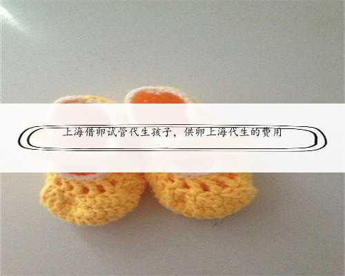 上海借卵试管代生孩子，供卵上海代生的费用