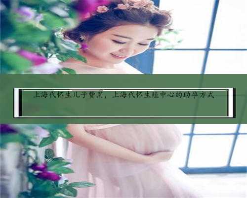 上海代怀生儿子费用，上海代怀生殖中心的助孕方式