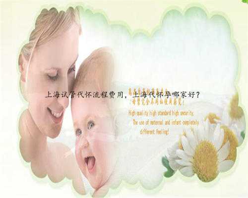 上海试管代怀流程费用，上海代怀孕哪家好？