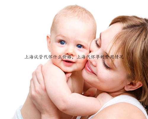 上海试管代怀什么价格，上海代怀孕的费用情况