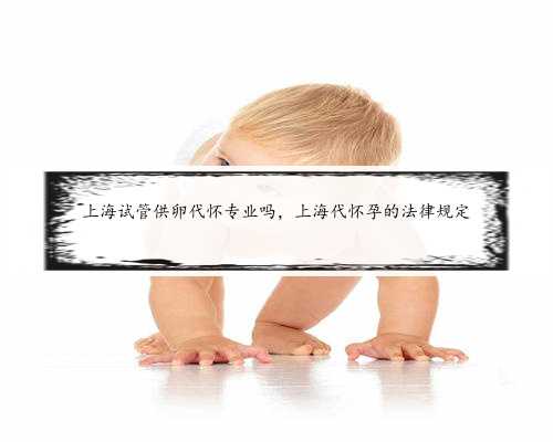 上海试管供卵代怀专业吗，上海代怀孕的法律规定