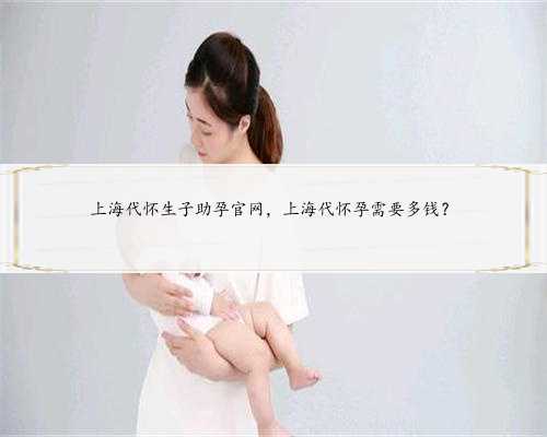 上海代怀生子助孕官网，上海代怀孕需要多钱？