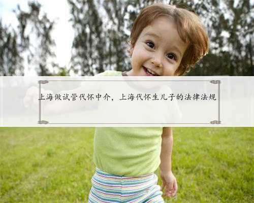 上海做试管代怀中介，上海代怀生儿子的法律法规