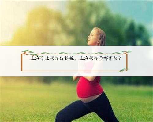 上海专业代怀价格低，上海代怀孕哪家好？