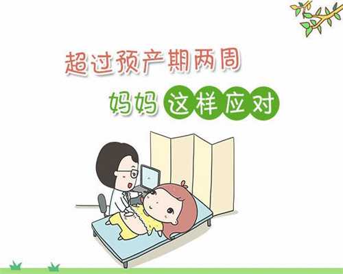 圆梦助孕中心的价位,上海供卵试管 助孕圆梦
