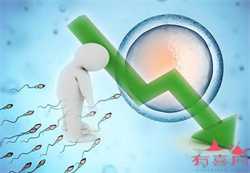 上海借卵试管流程,上海试管婴儿流程、医院、费用及攻略