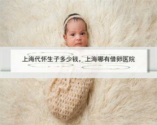 上海代怀生子多少钱，上海哪有借卵医院