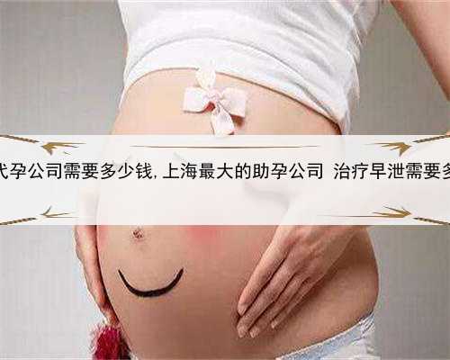 上海代孕公司需要多少钱,上海最大的助孕公司 治疗早泄需要多少钱