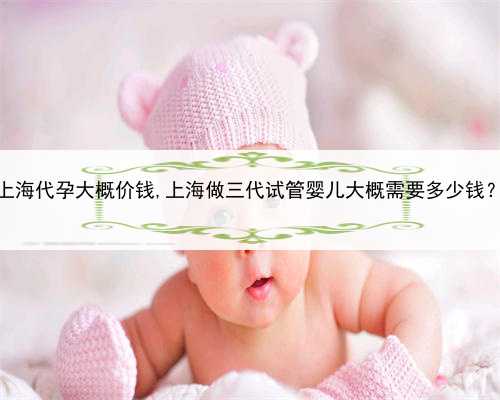 上海代孕大概价钱,上海做三代试管婴儿大概需要多少钱？