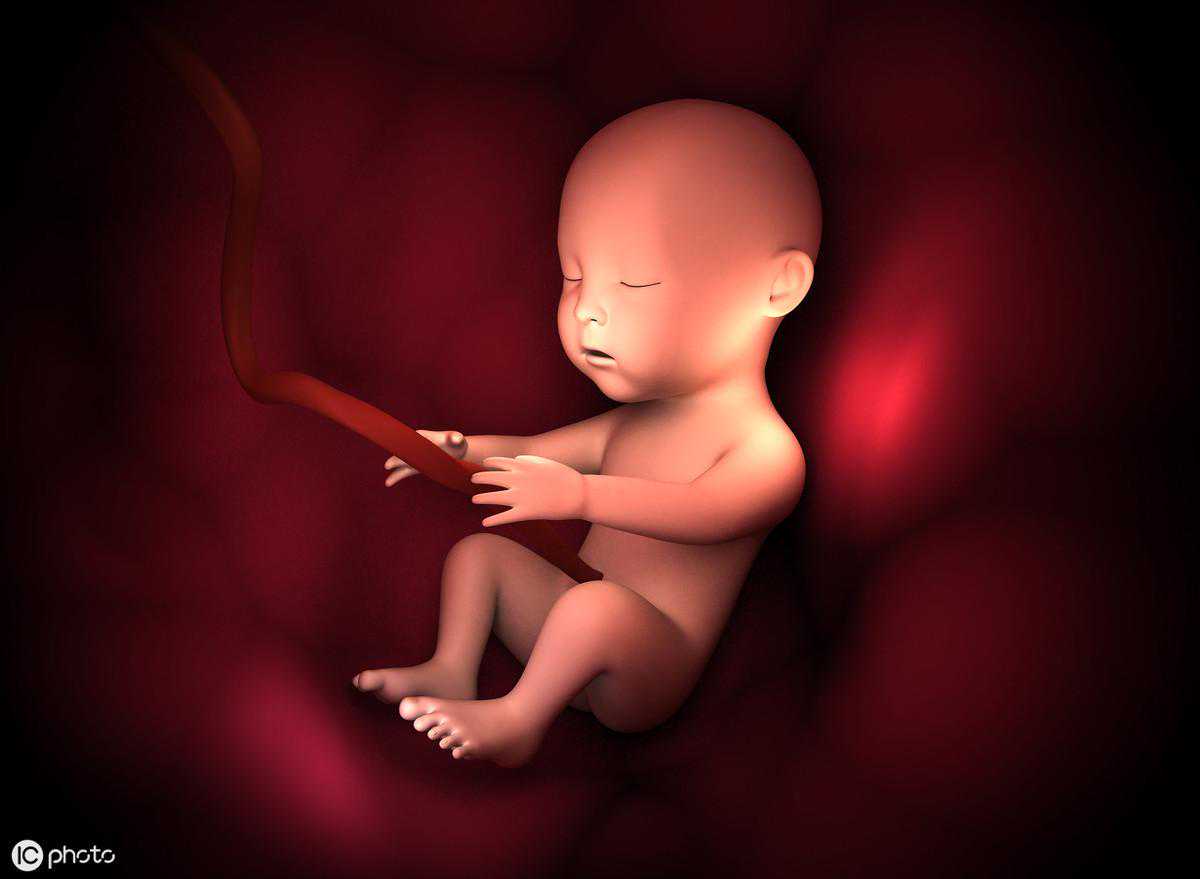 胎心在孕妇肚脐上下方，多数是胎位不正，胎位正，胎心在这个位置