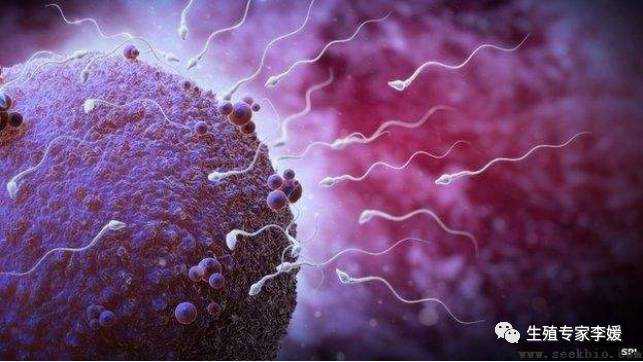 关于大Y 染色体、葡萄胎成因介绍及有关科研成果