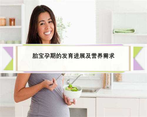 胎宝孕期的发育进展及营养需求
