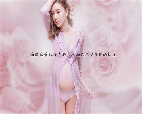 上海做试管代怀专科，上海代怀孕费用的构成